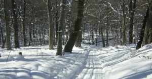 Bertrand pak ski trails